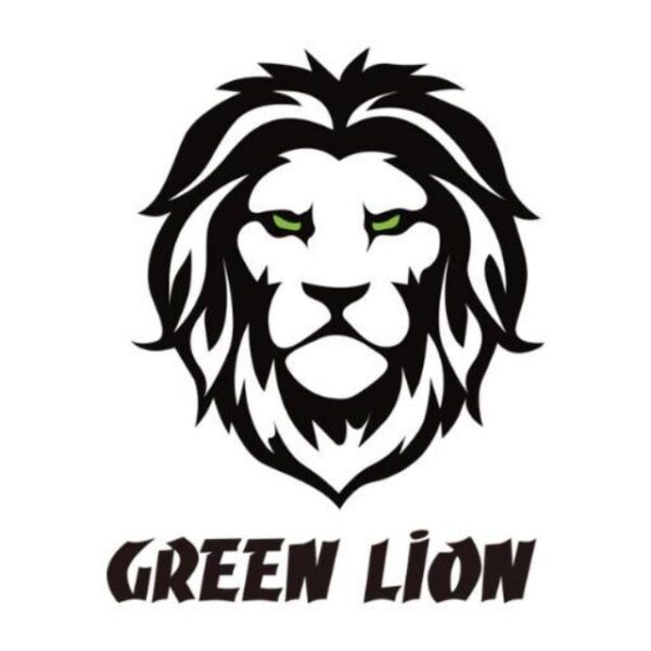 شارژر دیواری 20 وات گرین لاین GREEN LION - Image 2